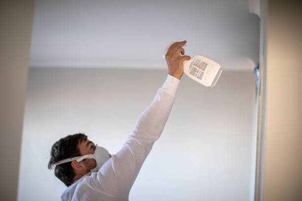 Best Attic Mold Removal  in Kidron, OH